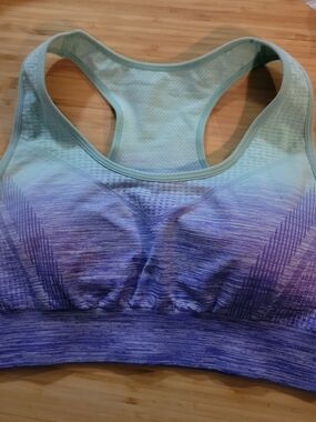 NEW Seamless Ombre Sports Bra - Mint to Purple